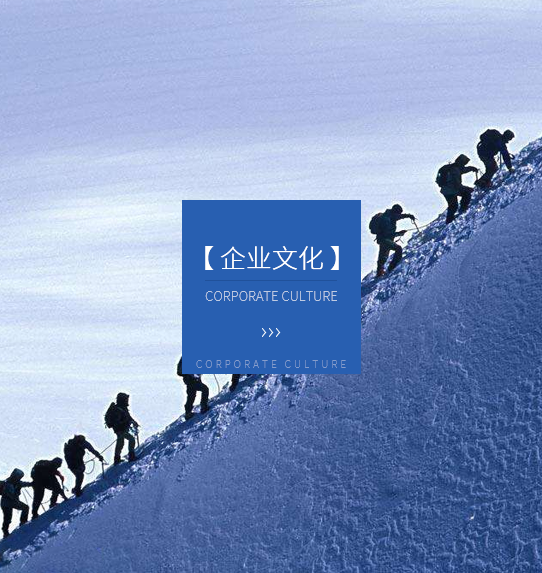 广西做网页系统